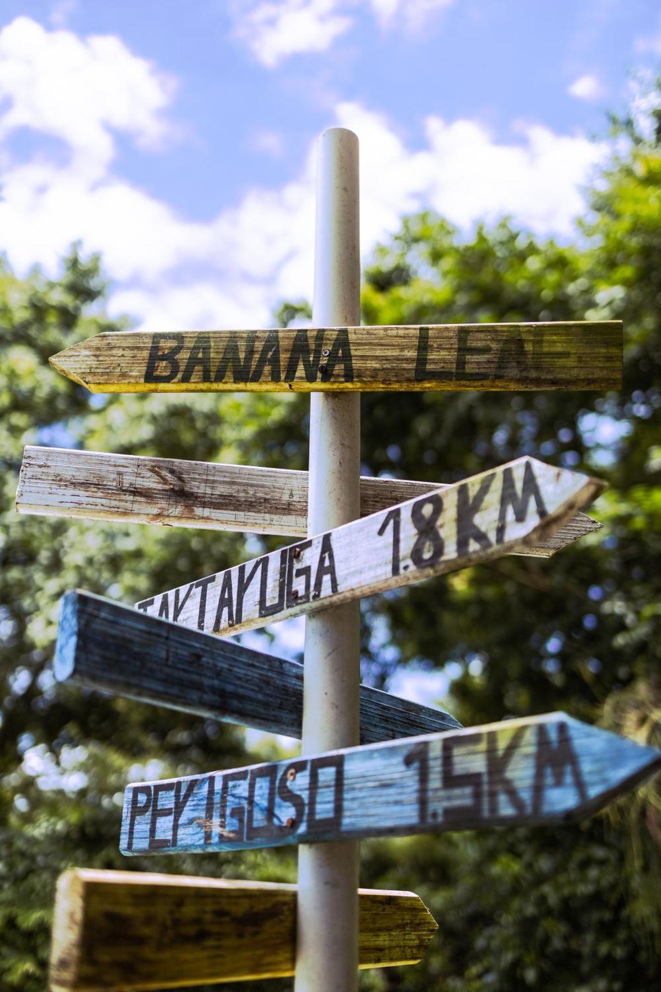 ריו דה ז'ניירו Banana Leaf Eco Hostel מראה חיצוני תמונה