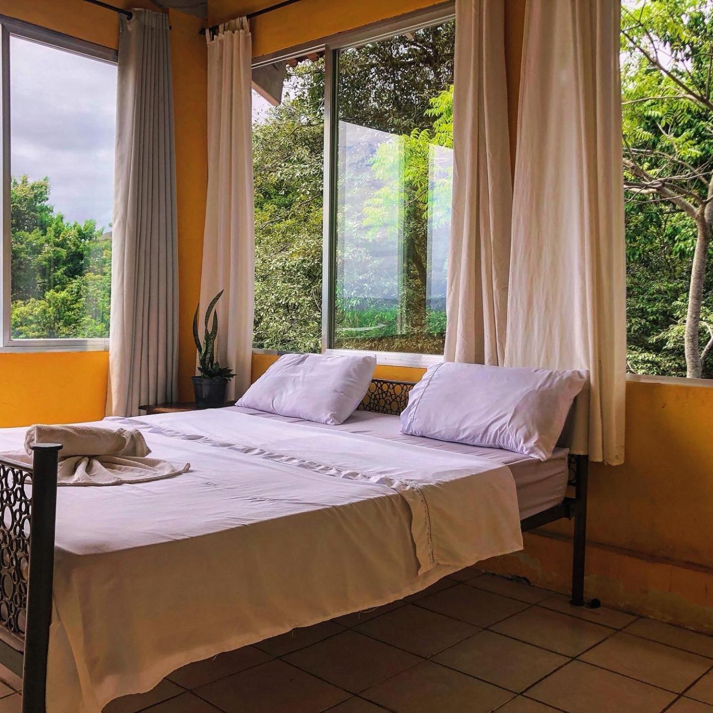 ריו דה ז'ניירו Banana Leaf Eco Hostel מראה חיצוני תמונה
